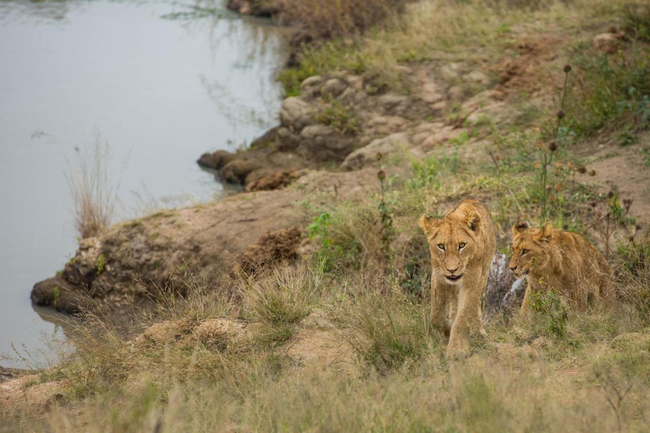 Hamiltons Tented Camp Mluwati Concession Екстер'єр фото