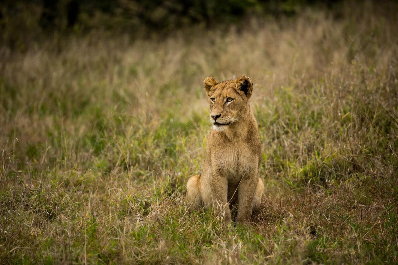 Hamiltons Tented Camp Mluwati Concession Екстер'єр фото