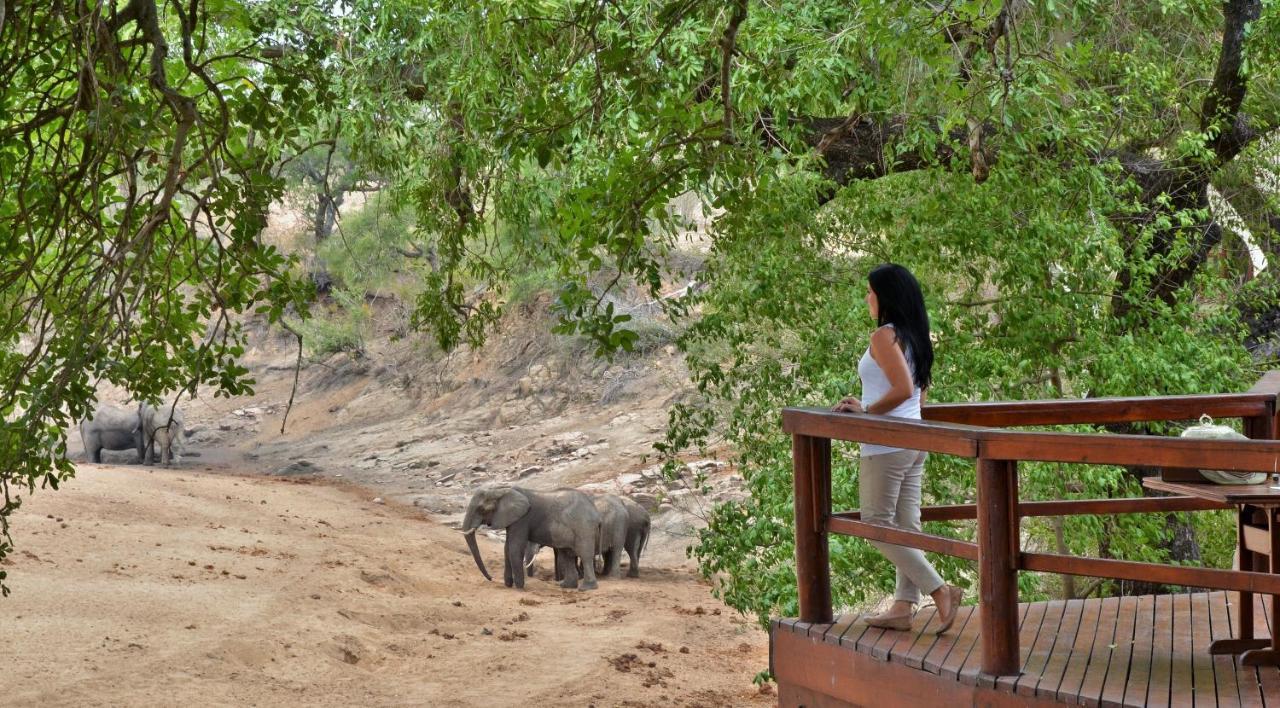 Hamiltons Tented Camp Mluwati Concession Екстер'єр фото