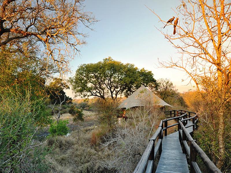 Hamiltons Tented Camp Mluwati Concession Екстер'єр фото