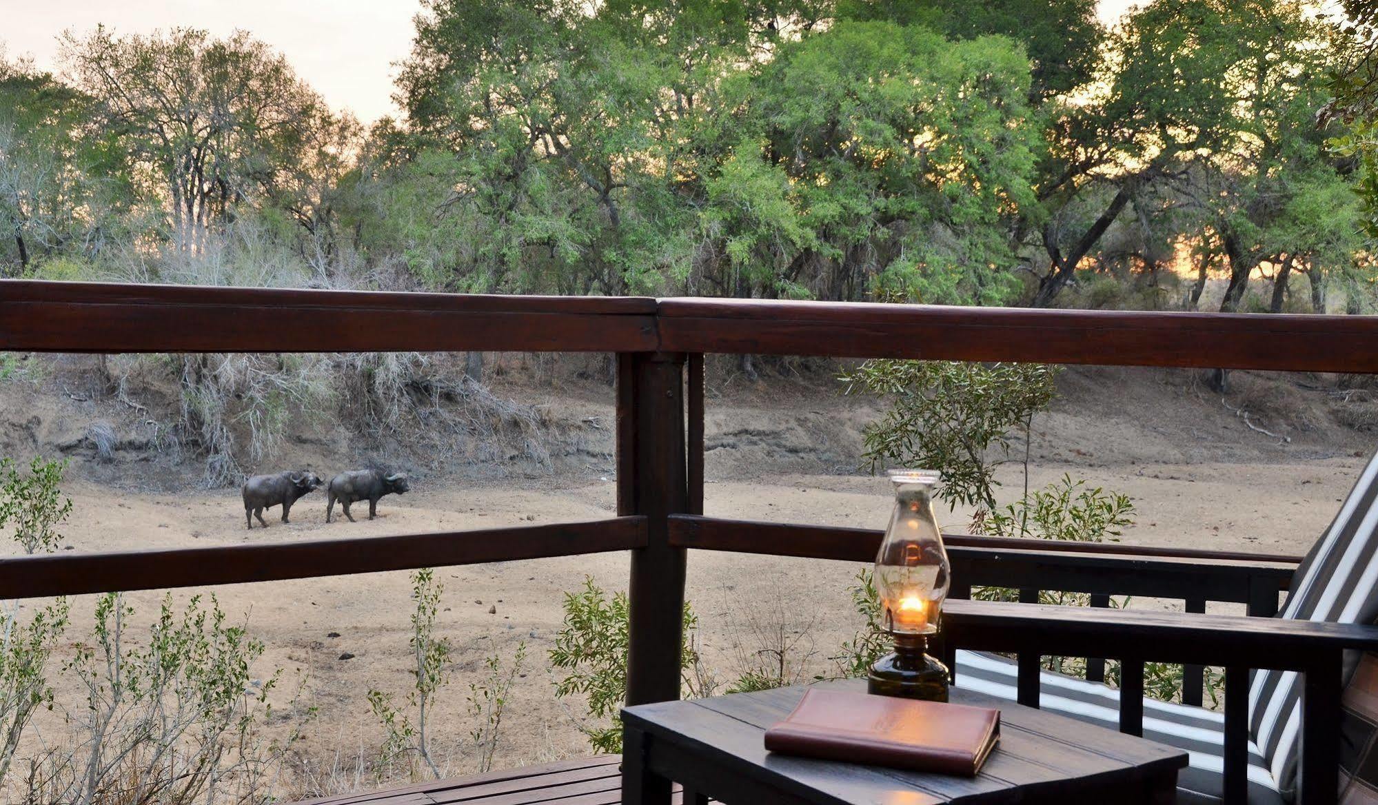 Hamiltons Tented Camp Mluwati Concession Екстер'єр фото