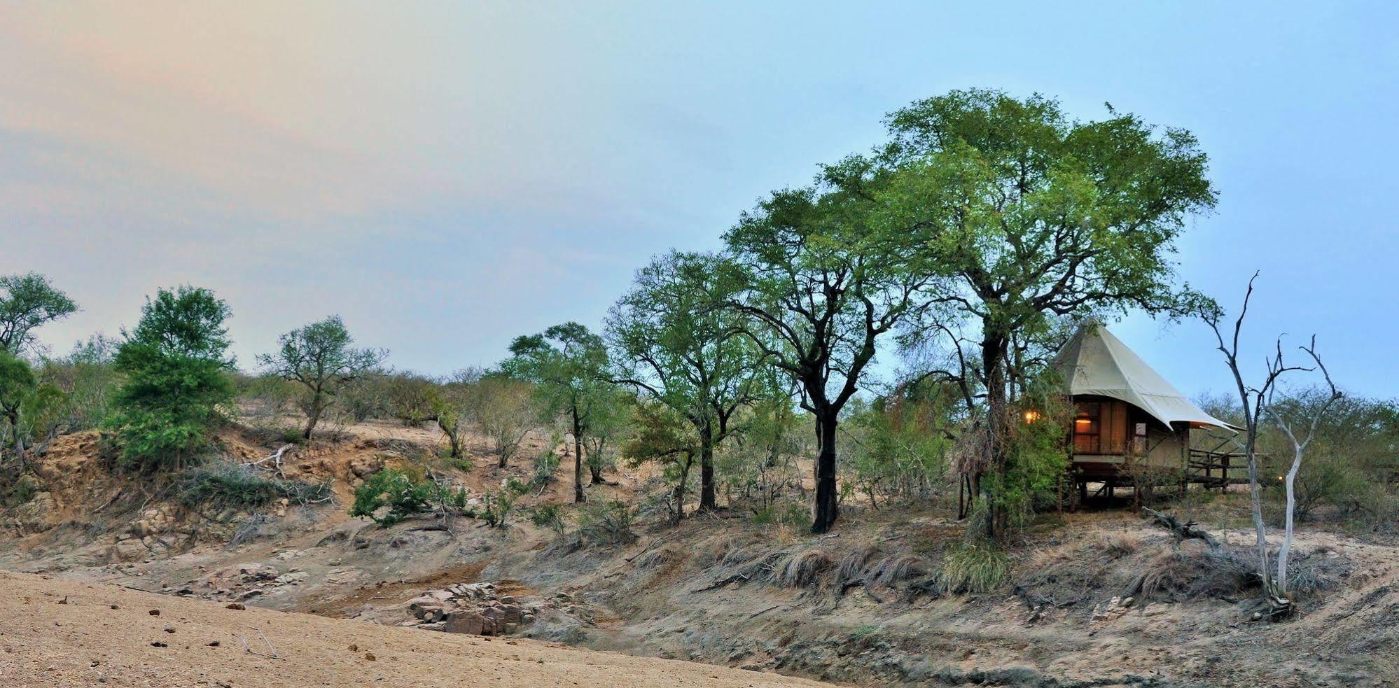 Hamiltons Tented Camp Mluwati Concession Екстер'єр фото
